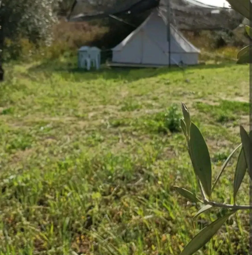 Luxusní stan Tienda Acogedora Con Piscina 